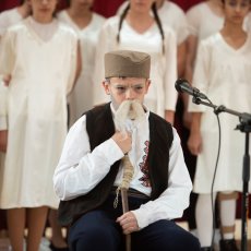 Visnjicevi dani 2024 - drugi dan