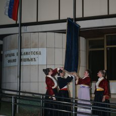 Спуштање заставе "Вишљићевих дана", 8.11.2017.